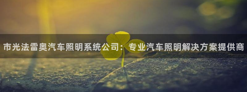 千亿国际账号登录官网:市光法雷奥汽车照明系统公司:专业汽车照明解决方案提供商