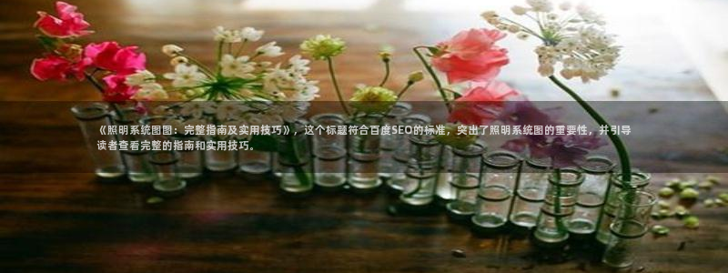 千亿国际服务平台怎么样:《照明系统图图:完整指南及实用技巧》,这个标题符合百度SEO的标准,突出了照明系统图的重要性,并引导读者查看完整的指南和实用技巧。