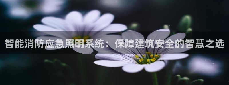 千亿国际平台还存在吗安全吗:智能消防应急照明系统:保障建筑安全的智慧之选