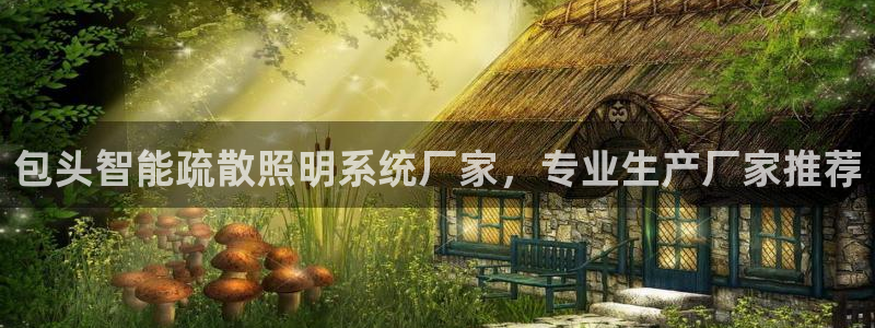 千亿国际的游戏怎么样:包头智能疏散照明系统厂家,专业生产厂家推荐