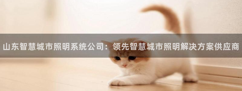 千亿国际集团招聘：山东智慧城市照明系统公司：领先智慧城市照明解决方案供应商