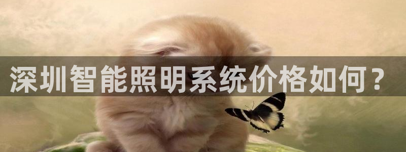 千亿国际全新官网是正品吗:深圳智能照明系统价格如何?