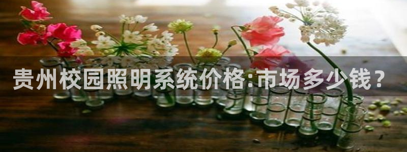 千亿国际手机版唯一官网:贵州校园照明系统价格:市场多少钱?