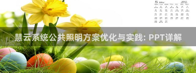 千亿国际平台还存在吗安全吗:慧云系统公共照明方案优化与实践: PPT详解