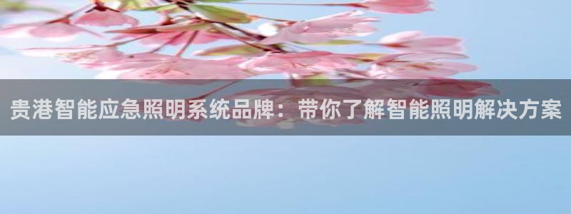 千亿国际是什么平台公司