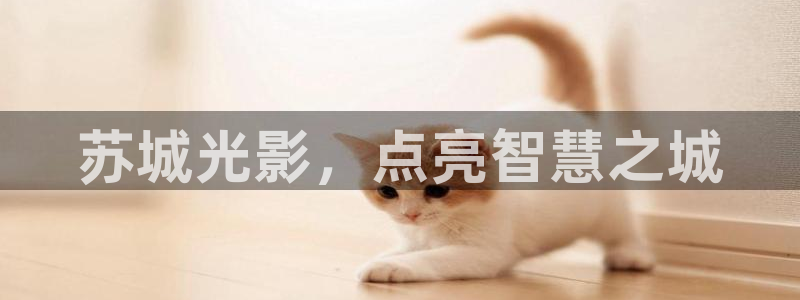 千亿国际服务平台怎么样