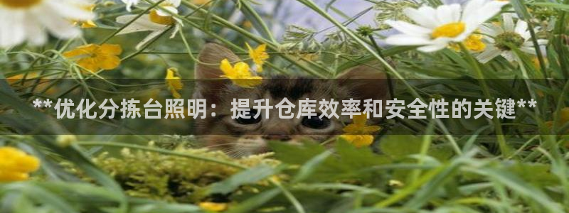 千亿国际跟盛辉是一家的吗知乎