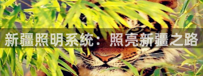 千亿国际黑吗
