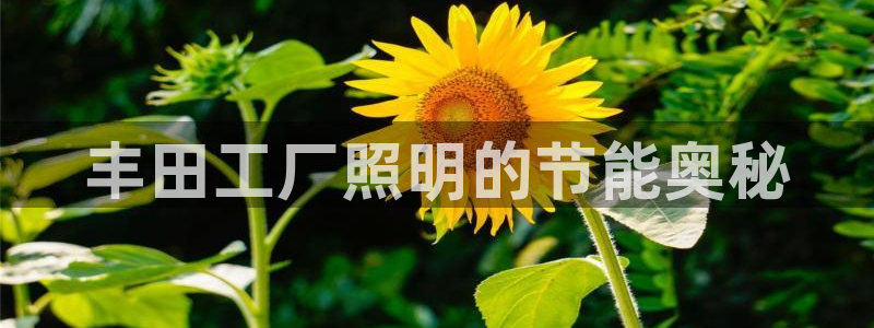 千亿国际在线新闻资讯