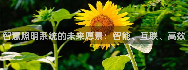 千亿国际提款有没有问题啊知乎