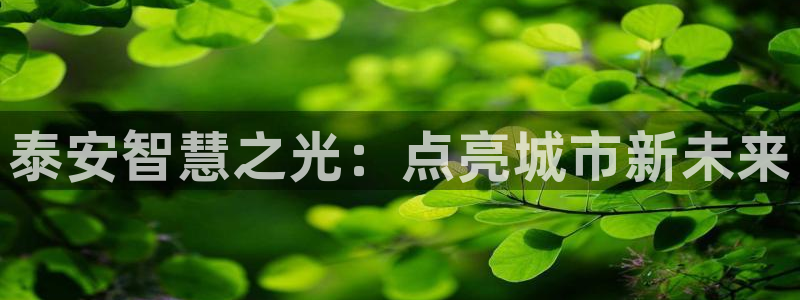 千亿国际手机官网app国际