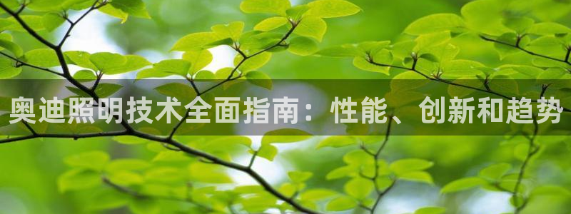 千亿国际是什么平台啊