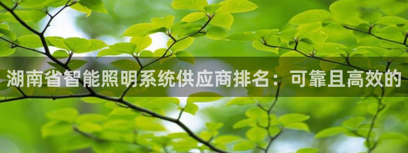 千亿国际平台怎么样知乎