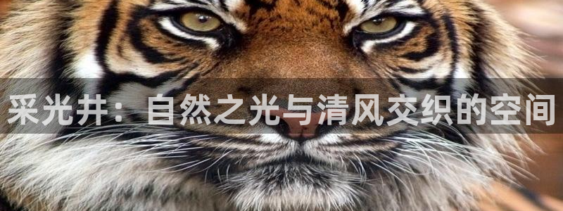 千亿国际平台还存在吗