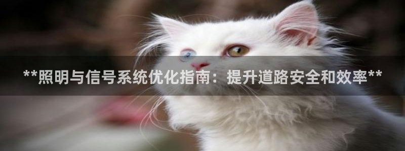千亿国际2020官方网站pkufli9.201