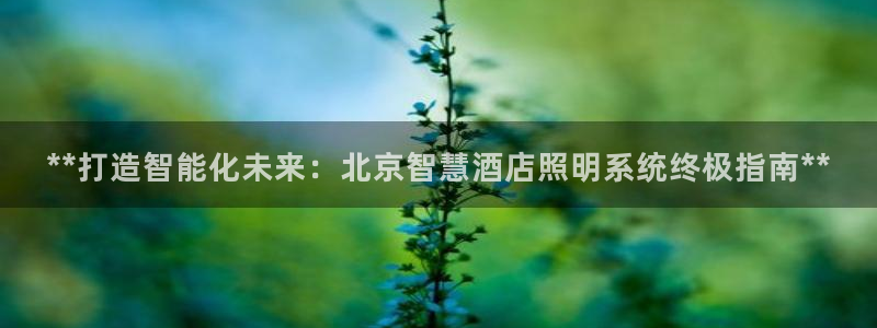 千亿国际希沃赋能教育