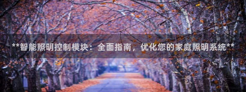 千亿国际服务平台怎么样:**智能照明控制模块:全面指南,优化您的家庭照明系统**