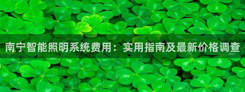 千亿国际服:南宁智能照明系统费用:实用指南及最新价格调查