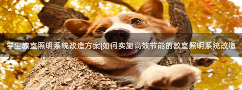 千亿国际手机版app下载:学生教室照明系统改造方案|如何实施高效节能的教室照明系统改造