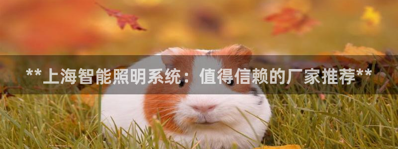 千亿国际怎么下载啊:**上海智能照明系统:值得信赖的厂家推荐**