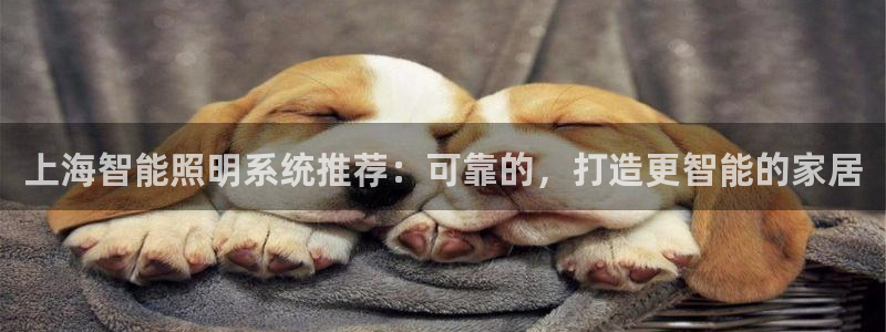 千亿国际欧阳文昊长的什么样:上海智能照明系统推荐:可靠的,打造更智能的家居