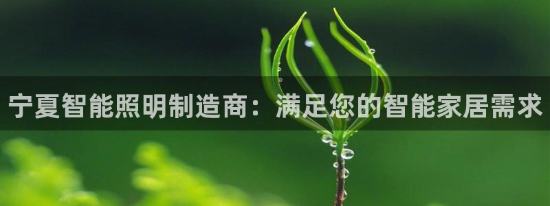 千亿国际qy88vip下载:宁夏智能照明制造商:满足您的智能家居需求