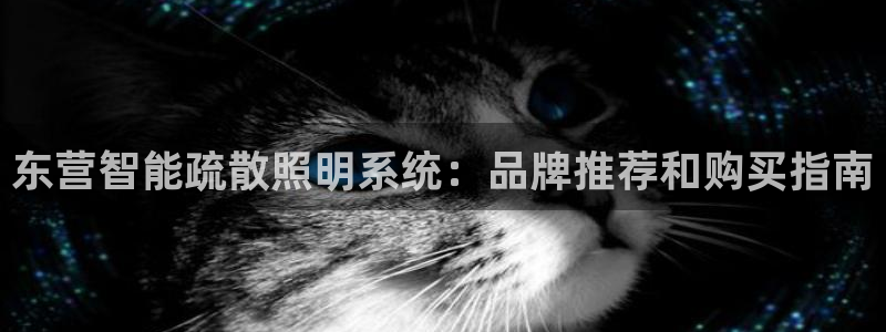 千亿国际服务平台是什么:东营智能疏散照明系统:品牌推荐和购买指南