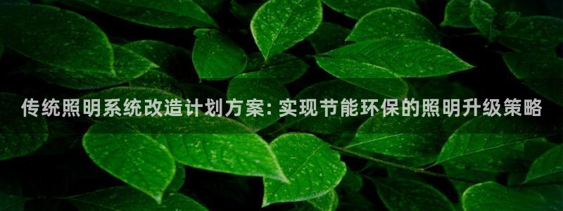 千亿国际官方网站入口在线观看:传统照明系统改造计划方案: 实现节能环保的照明升级策略