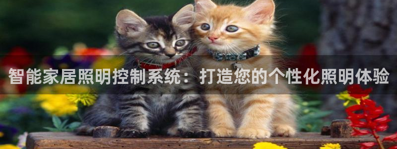 千亿国际服务平台怎么样:智能家居照明控制系统:打造您的个性化照明体验