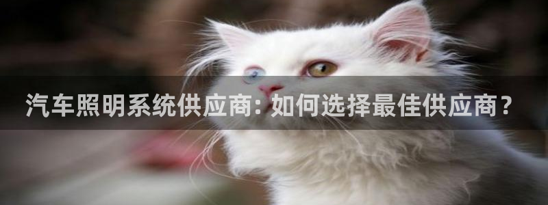 千亿国际2023官方版-3.22 Inurl:fayunsi:汽车照明系统供应商: 如何选择最佳供应商?