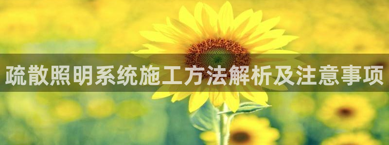 千亿国际黑吗:疏散照明系统施工方法解析及注意事项