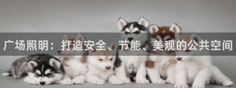 千亿国际唯一官方网站:广场照明:打造安全、节能、美观的公共空间