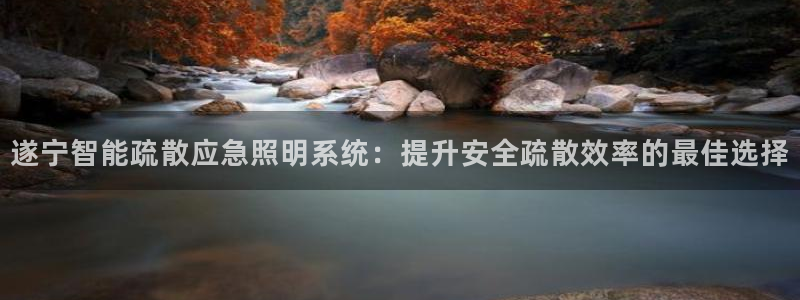 千亿国际旧版本:遂宁智能疏散应急照明系统:提升安全疏散效率的最佳选择
