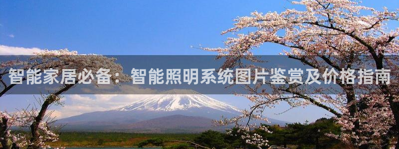 千亿国际诈骗:智能家居必备:智能照明系统图片鉴赏及价格指南