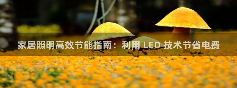 千亿国际网页版登录下载:家居照明高效节能指南:利用 LED 技术节省电费
