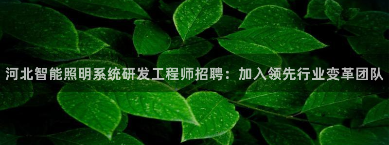 千亿国际qy88:河北智能照明系统研发工程师招聘:加入领先行业变革团队