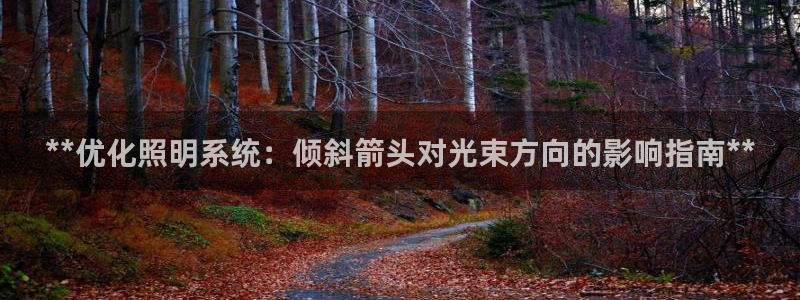千亿国际官网：**优化照明系统：倾斜箭头对光束方向的影响指南**