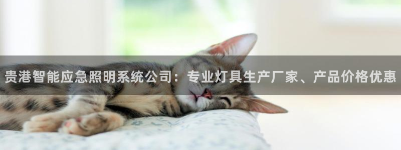 千亿国际是什么平台啊:贵港智能应急照明系统公司:专业灯具生产厂家、产品价格优惠