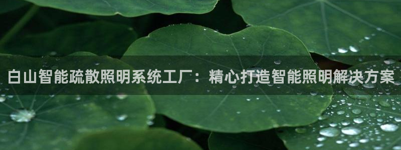 千亿国际提款有没有问题啊怎么查:白山智能疏散照明系统工厂:精心打造智能照明解决方案